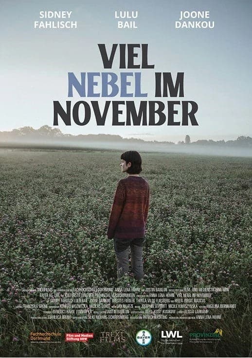 VIEL NEBEL IM NOVEMBER